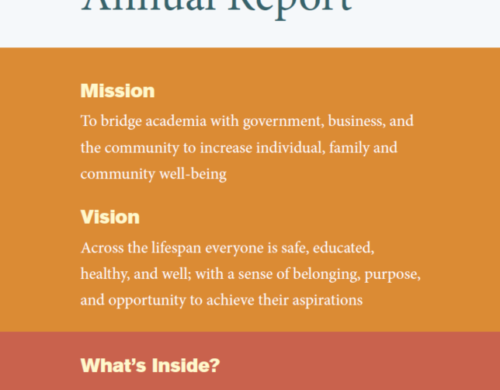 SPI Annual Report 2020-21
