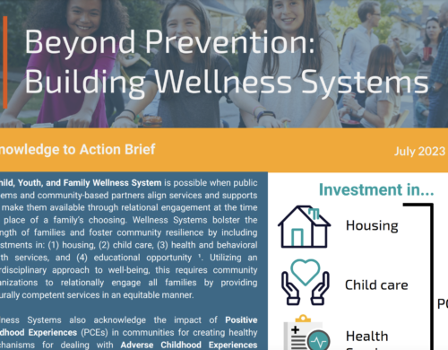 Beyond Prevention: Building Wellness Systems