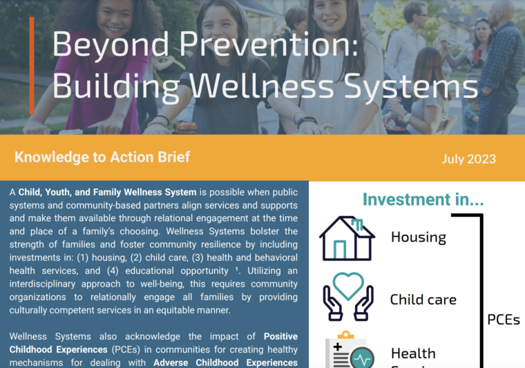 Beyond Prevention: Building Wellness Systems