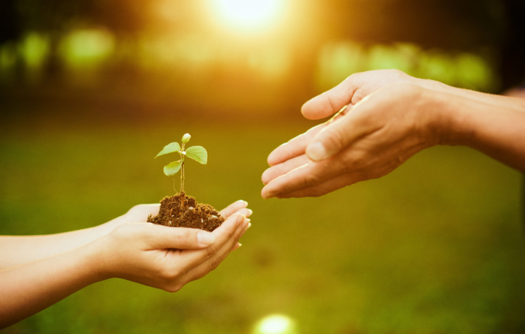 Warm Hand-Offs for TAY-IDD and their Families
