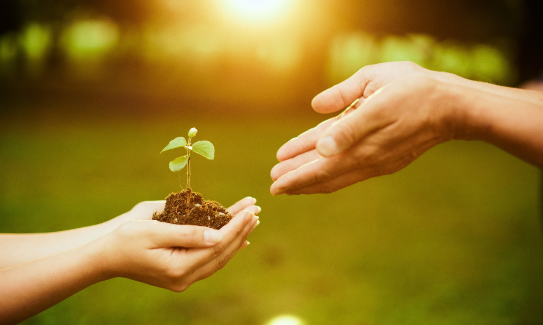 Warm Hand-Offs for TAY-IDD and their Families