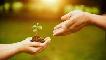 Warm Hand-Offs for TAY-IDD and their Families