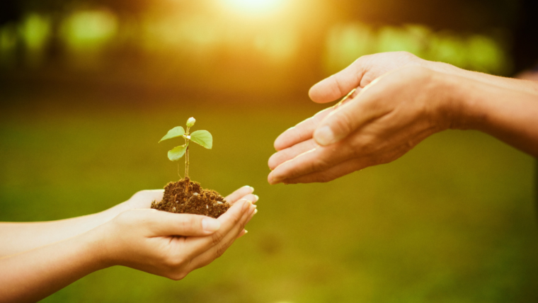Warm Hand-Offs for TAY-IDD and their Families